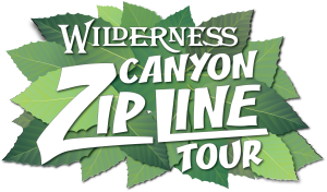Wilderness Canyon Zip Line Tour
